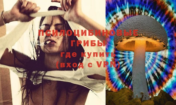 круглые Армянск