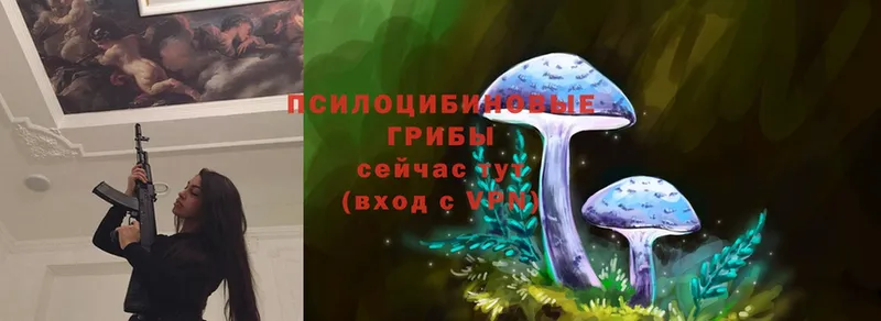 Псилоцибиновые грибы Magic Shrooms  Верхнеуральск 